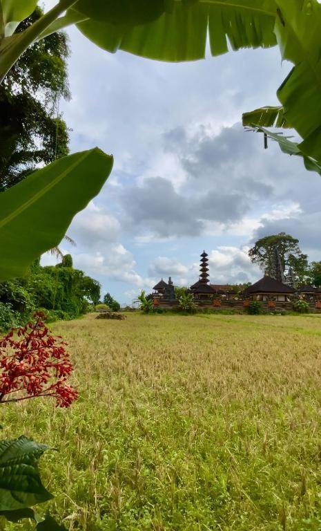 Niki - Unique Rice Temple View Bykavian Villa Ubud (Bali)