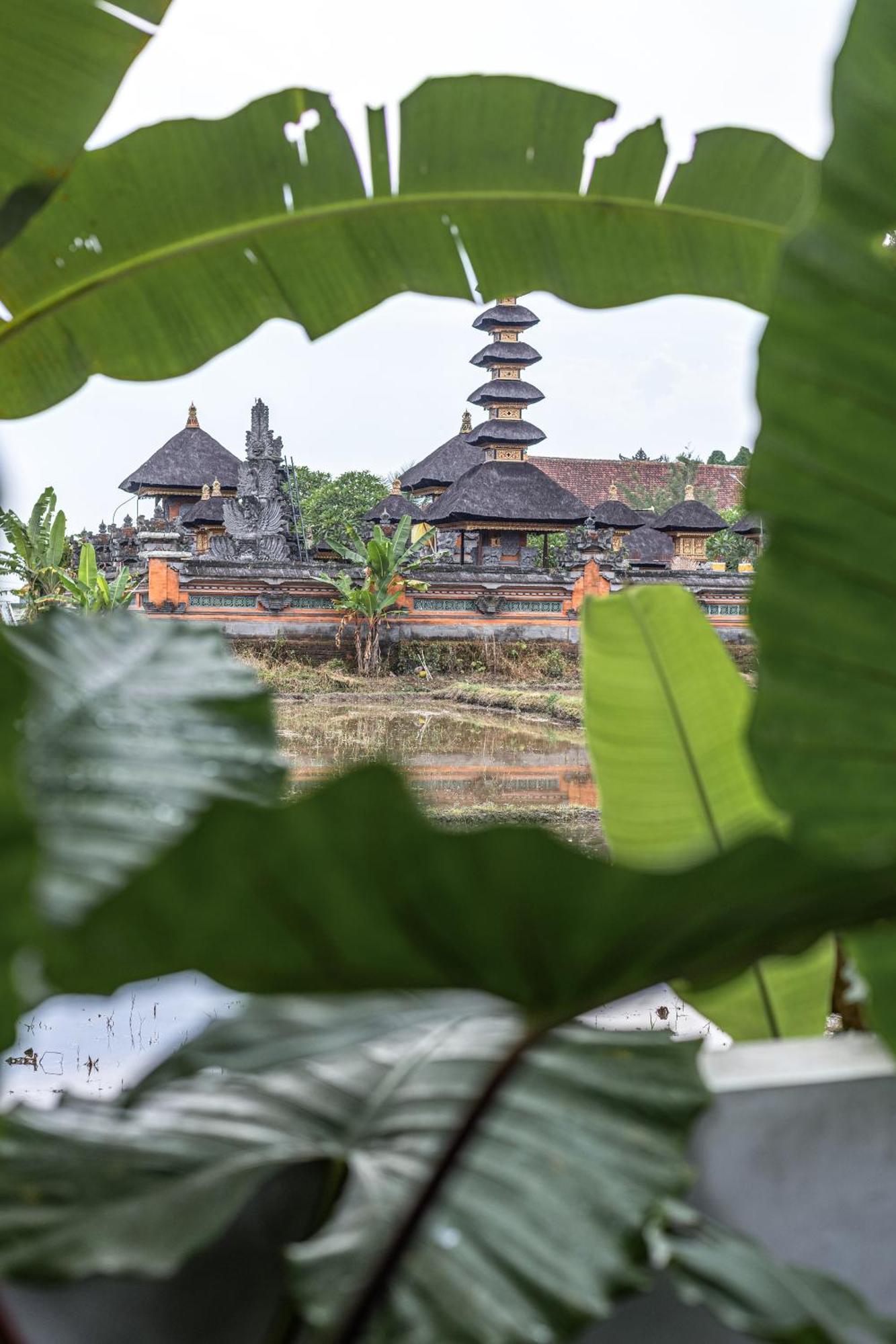 Niki - Unique Rice Temple View Bykavian * Ubud (Bali)